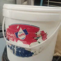 سطل پنیر درحدنو