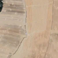 زمین جهت کشت نخود بهاره