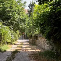 زمین سند تک برگ عرصه و اعیان کردان با مجوز بنا