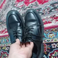 کبش نویک باراصتفاده نشده|کیف، کفش، کمربند|زابل, |دیوار