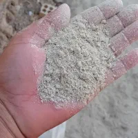 سبوس‌سفیدبرنج