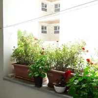 اجاره آپارتمان ۹۰ متری ۲ خوابه در میدان بهشتی|اجارهٔ آپارتمان|تهران, شمس‌آباد|دیوار