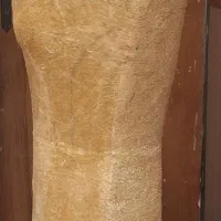 مانکن نیم تنه زنانه