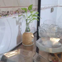 سرویس لومینارک فرانسه|ظروف سرو و پذیرایی|قم, باغ کرباسی|دیوار