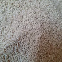 برنج عنبر بو