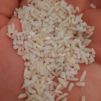 برنج سرلاشه هاشمی