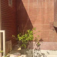 کفسابی و نماشویی با نازل ترین قیمت بهترین کیفیت|خدمات نظافت|کاشان, بهشتی|دیوار