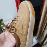 کفش نو|کیف، کفش، کمربند|تربت‌حیدریه, پائین ولایت|دیوار