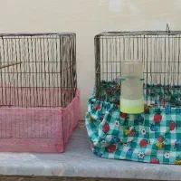 دستگاه قالی،قفسه،قفس،در کنتور|حراج|کاشان, فاز ۱ ناجی آباد|دیوار