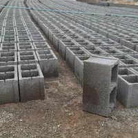 نیازمند ۲استادکاربلوک زن