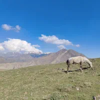 سفر به شمال