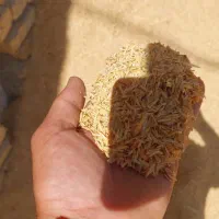 سبوس برنج|عمده‌فروشی|محلات, |دیوار