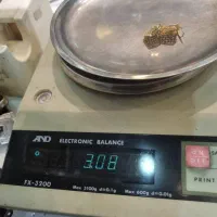 گوشواره طلا ۲۵۰ بالای تابلو|جواهرات|یاسوج, |دیوار