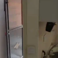 فروش ملکیت دربست دو طبقه با سوئیت بومهن سپاه صنوبر|فروش خانه و ویلا|بومهن, |دیوار