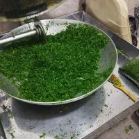 سبزی خوردشده55تومن|خوردنی و آشامیدنی|قم, شهرک امام حسن|دیوار