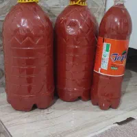 رب خانگی