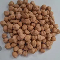 نخود دیم کشت امسال