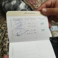 توله سگ پامرانین|سگ|تهران, شهرک ولیعصر شمالی|دیوار