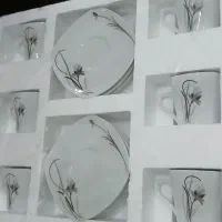 قوری برقی، فنجون و نلبکی