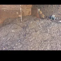 بارکفتر|پرنده|بردسکن, |دیوار