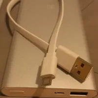 پاوربانک شیائومی ارجینال، نقره ای، 10000|لوازم جانبی موبایل و تبلت|تهران, صادقیه|دیوار