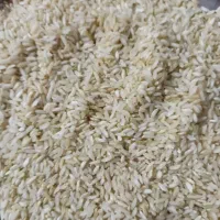 فروش بهترین برنج استان