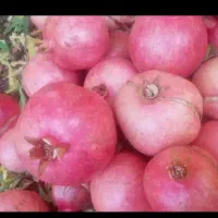 انار کوهنانی درجه یک چین اول|خوردنی و آشامیدنی|کوهدشت, |دیوار