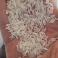 برنج پاکستانی(مصرف خانوار)محدود
