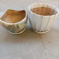 گلدون نو و سالم همراه با زیر گلدونی