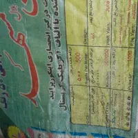 دو عدد فرش نه متری طرح مروارید نگین مشهد|فرش|آستانه اشرفیه, |دیوار