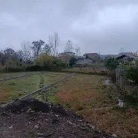 زمین مسکونی تو لفور چسبیده به جنگل هیرکانی