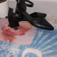 کفش مجلسی|کیف، کفش، کمربند|زاهدان, |دیوار