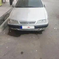 زانتیا/ سالم/تمیز/به شرط