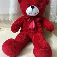 آموزش خرس ولنتاین