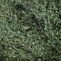 نعنا خشک برگ و پودر شده بدون یه زره چوب