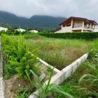 فروش فوری درنخ شمال نوشهر۶۰۰م زمین قابل ساخت باسند