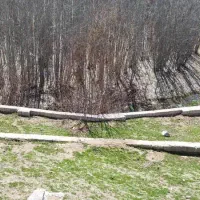 یک قطعه زمین1200|فروش زمین و ملک کلنگی|چادگان, |دیوار