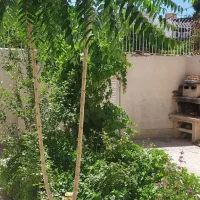 دربست-ویلایی