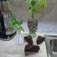 کیک خیس شکلاتی