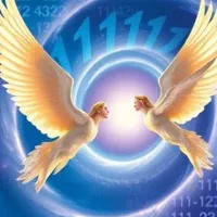 تحقیق درمورد علم فنگشویی|خدمات آموزشی|تهران, سازمان آب|دیوار