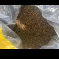 قفس بزرگ