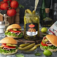 خیارشور و تشریجات نمایندگی