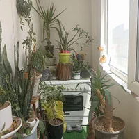 155متری 3خواب شیک ادیب جنوبی۱ امامیه۲|فروش آپارتمان|مشهد, ولیعصر (شهرک غرب)|دیوار