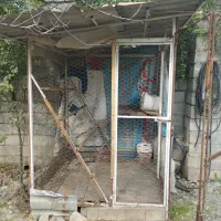 قفس مرغ ارتفاع 180سانت|لوازم جانبی حیوانات|چمستان, |دیوار