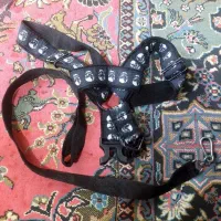 قلاده سگ کتفی