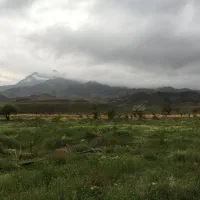 فروش ملک وزمین وساختمان|فروش دفتر صنعتی، کشاورزی، تجاری|سلفچگان, |دیوار