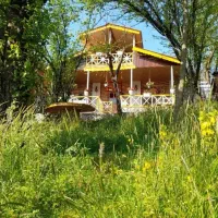 کلبه جنگلی ،یک کیلومتری سدلفور،چشم انداز بی نهایت|اجارهٔ کوتاه‌مدت ویلا و باغ|شیرگاه, |دیوار