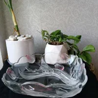 ظرف پذیرایی ژاپن اصل
