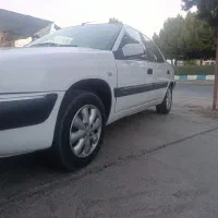 زانتیا درجه یک 88