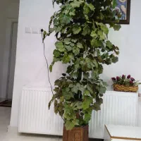 درختچه مصنوعی